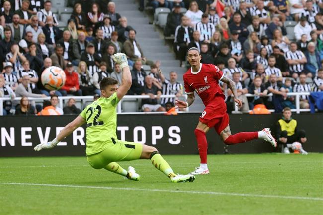 Nhận định Brighton vs Newcastle (23h30 ngày 29) Đại tiệc tấn công 2 Nhận định Brighton vs Newcastle (23h30 ngày 29) Đại tiệc tấn công 2