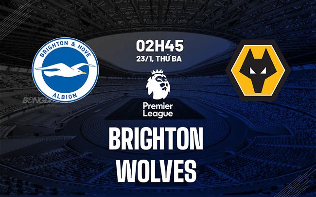 nhan dinh bong da du doan Brighton vs Wolves ngoai hang anh premier league hom nay nhan dinh bong da du doan Brighton vs Wolves ngoai hang anh premier league hom nay
