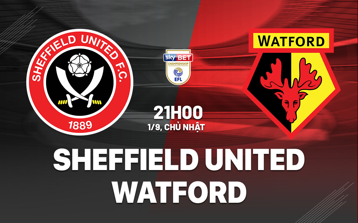 nhan dinh bong da du doan Sheffield United vs Watford hang nhat anh championship hom nay nhan dinh bong da du doan Sheffield United vs Watford hang nhat anh championship hom nay