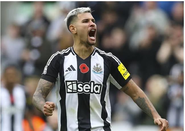 Nhận định Newcastle vs Brentford (2h45 ngày 1912) Nỗi sợ sân khách 1 Nhận định Newcastle vs Brentford (2h45 ngày 1912) Nỗi sợ sân khách 1
