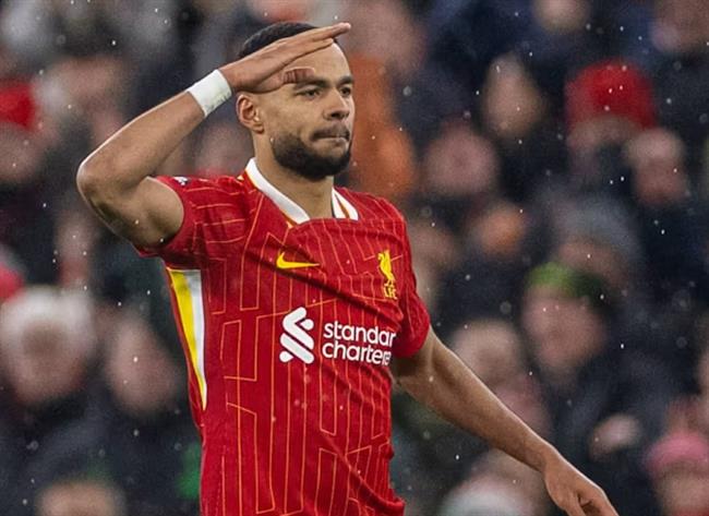 Nhận định Tottenham vs Liverpool (3h00 ngày 91) Không được phép thất bại 2 Nhận định Tottenham vs Liverpool (3h00 ngày 91) Không được phép thất bại 2