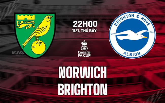 Nhận định Norwich vs Brighton (22h00 ngày 11/1): Không dễ dàng