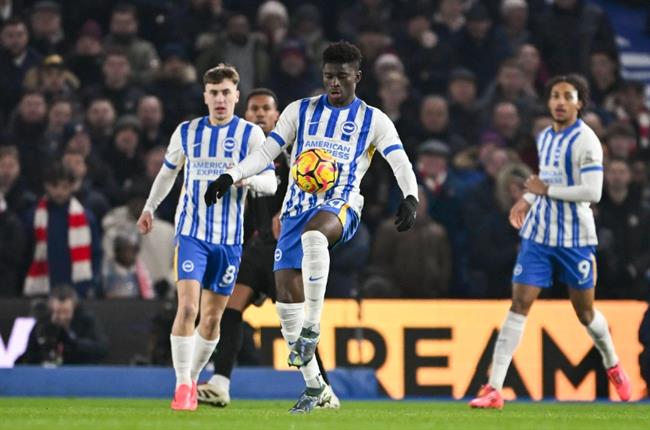 Nhận định Norwich vs Brighton (22h00 ngày 111) Không dễ bắt nạt Chim hoàng yến 2 Nhận định Norwich vs Brighton (22h00 ngày 111) Không dễ bắt nạt Chim hoàng yến 2