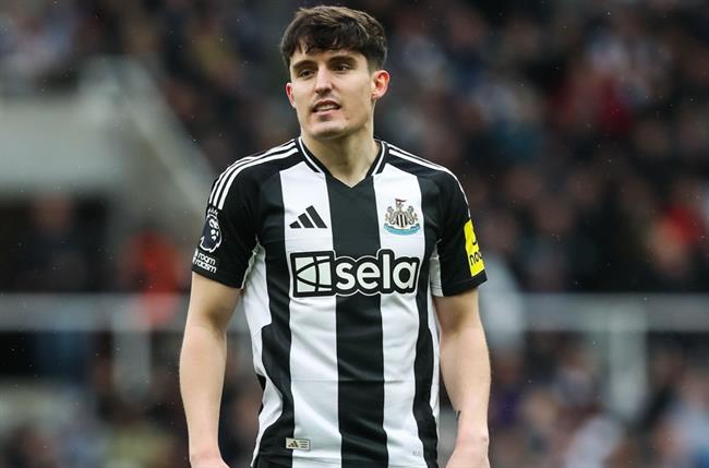 Nhận định Newcastle vs Brighton (20h45 ngày 23) Tấn công cống hiến 1 Nhận định Newcastle vs Brighton (20h45 ngày 23) Tấn công cống hiến 1