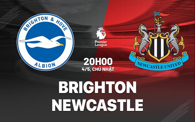 Nhận định Brighton vs Newcastle (20h ngày 4/5): Căng như dây đàn